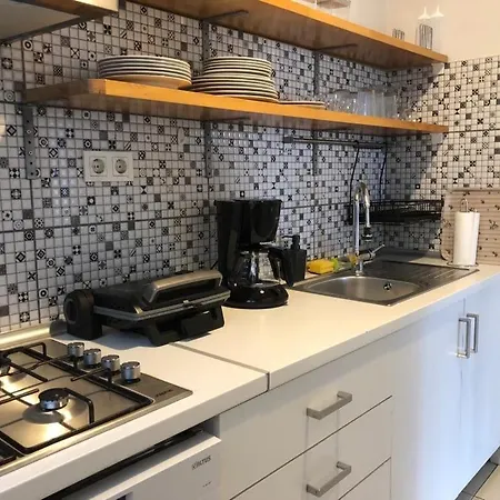 Spacious Apartment With Bosphorus View イスタンブール