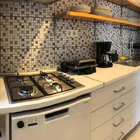 Spacious Apartment With Bosphorus View Apartment