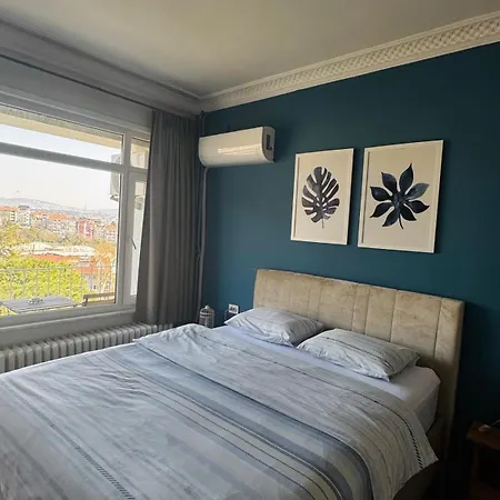 Spacious Apartment With Bosphorus View Apartment Istanbul